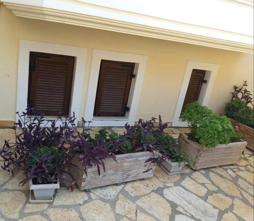 Villa Karolina Tsogkas Sívota Exterior foto